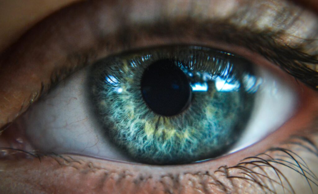 Close up photo of an eye
